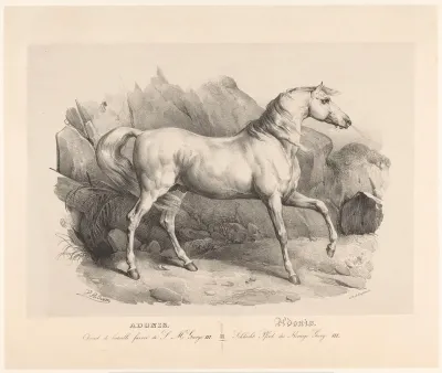 Adonis, het favoriete oorlogspaard van koning George III