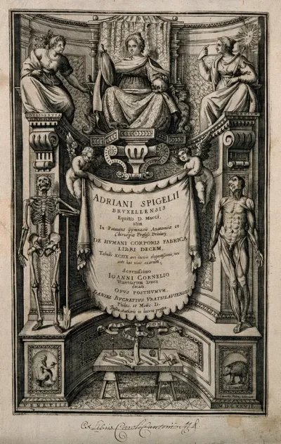 Adrianus Spigelius [Spieghel], engraved titlepage of De humani corporis fabrica