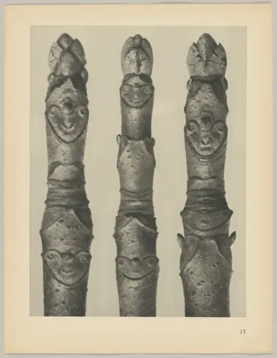 Aesculus parviflora