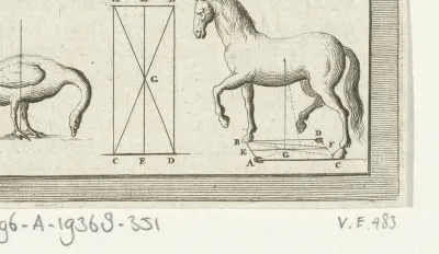 Afbeelding van een vogel en een paard