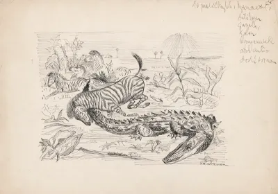African Animals