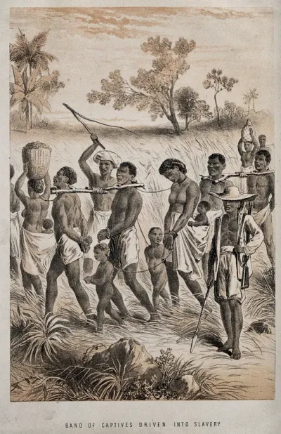African men, women and children captured in order to become slaves
