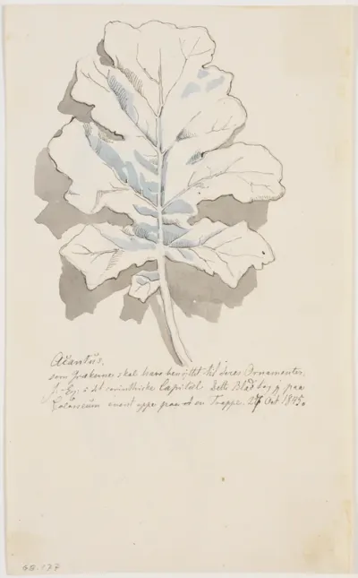 Akantusblad