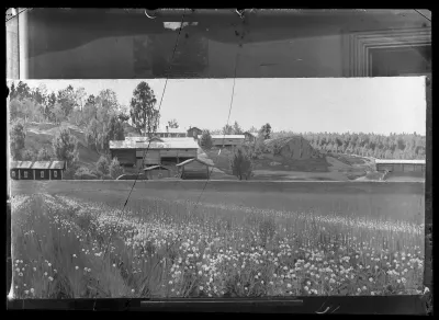 Alarik Munsterhjelm: "Kesäkuva. Apilapelto. Koristeellinen maisema" vuodelta 1897