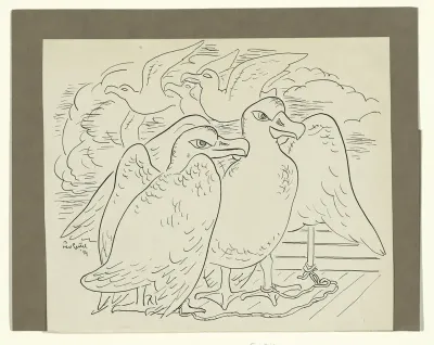 Albatrossen