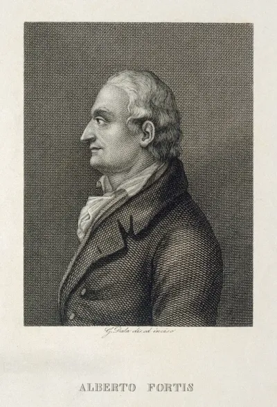 Alberto Fortis. Line engraving by G. Dala after himself