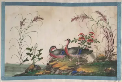 Album Containing Twelve Paintings of Birds
