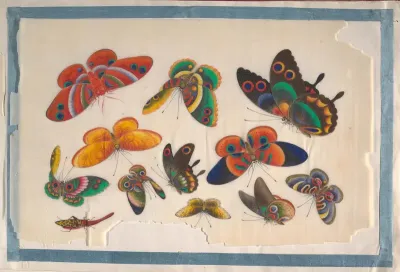 Album Containing Twelve Paintings of Insects
