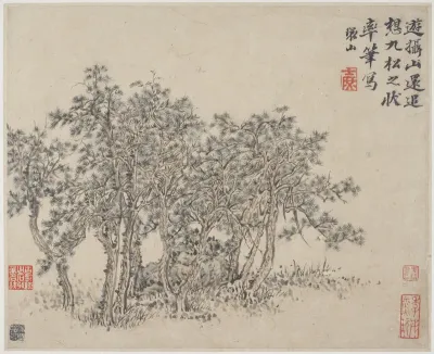 Album of Landscapes, Plants, Figures and Animals: Grove of Pines