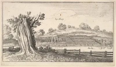Albury with tree-stump in foreground