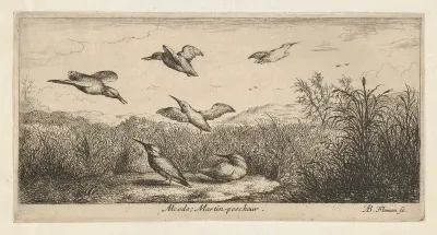 Alcedo, Martin-pescheur (The Kingfisher), from "Livre d'Oyseaux" (Book of Birds)