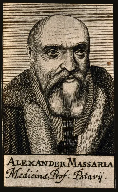 Alexander Massaria