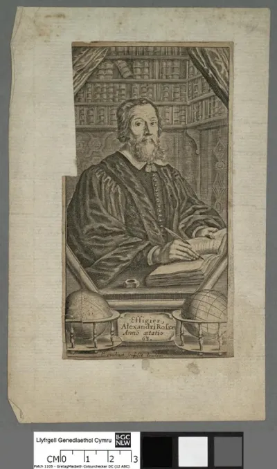Alexandri Rofsaei