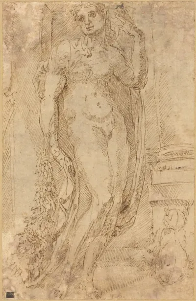 Allegorical Figure with a Cat and a Pig