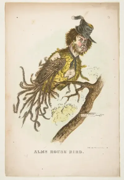 Alms House Bird, from "The Comic Natural History of the Human Race"