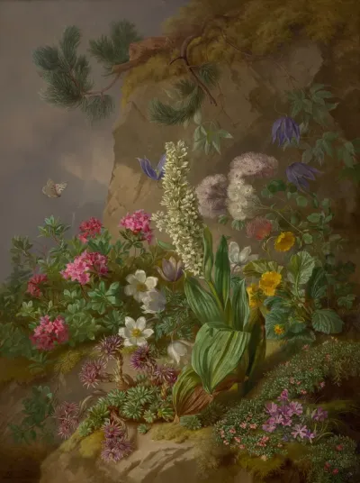Alpine Flowers