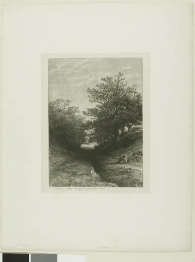 Alpine Landscape