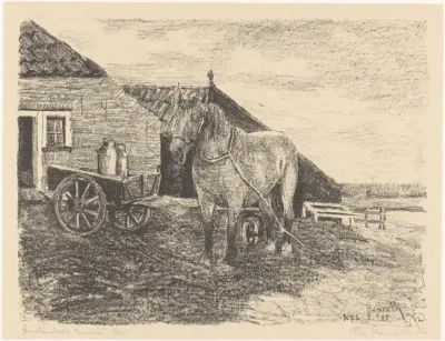 Amelandsche merrie