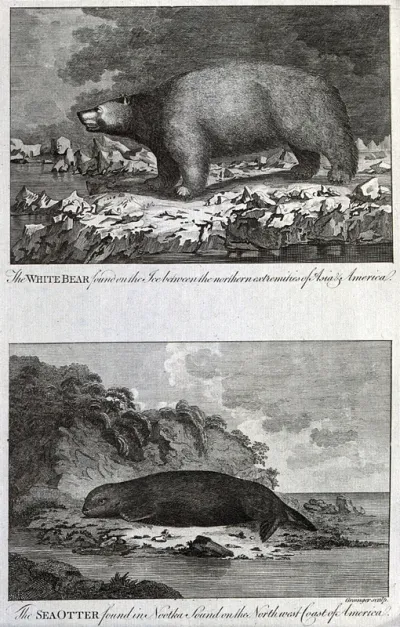 America: above, a white bear on an ice floe; below, a sea otter