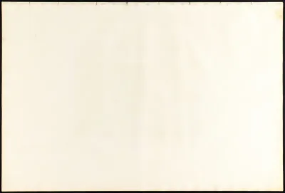 American Avocet