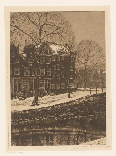 Amstel bij winter