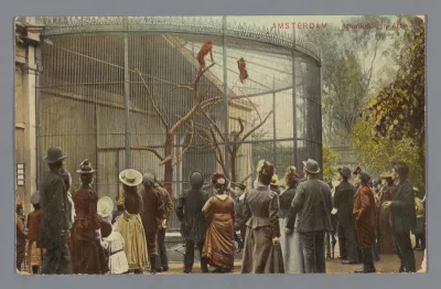 Amsterdam -- Apenkooi in Artis