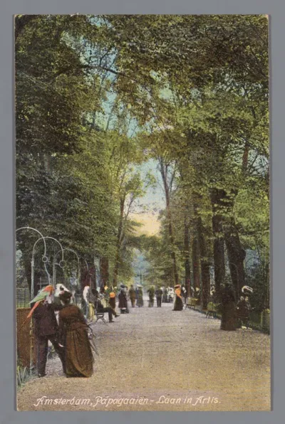 Amsterdam, Papagaaiën - Laan in Artis