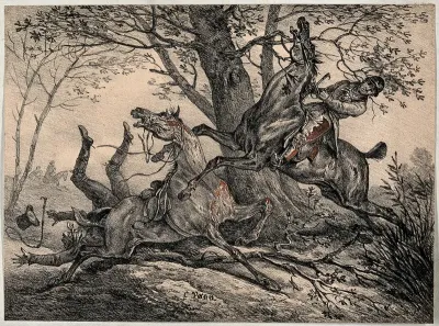 An accident in the countryside with two horses running into each other in front of a tree