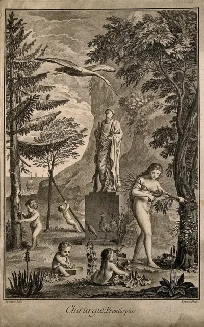 An allegory of surgery