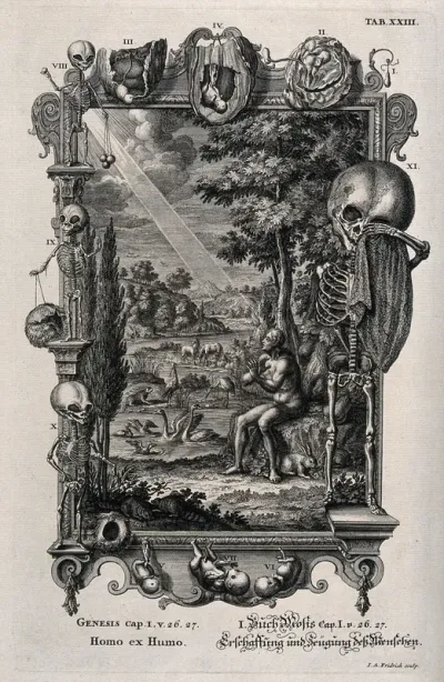An anatomical depiction of the life and death of a foetus frames Adam alone in the Garden of Eden