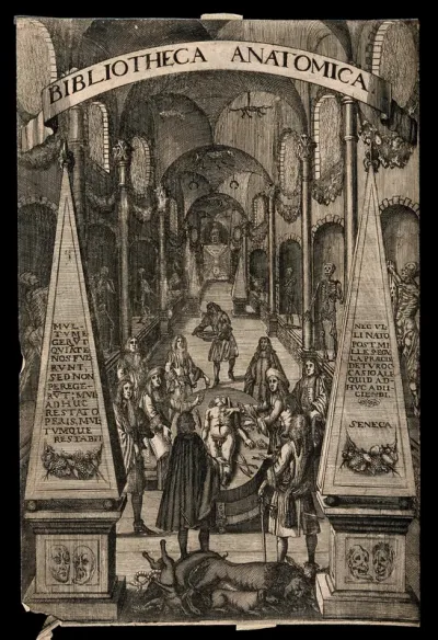 An anatomical dissection taking place in a hall decorated with musclemen and human and animal skeletons in niches