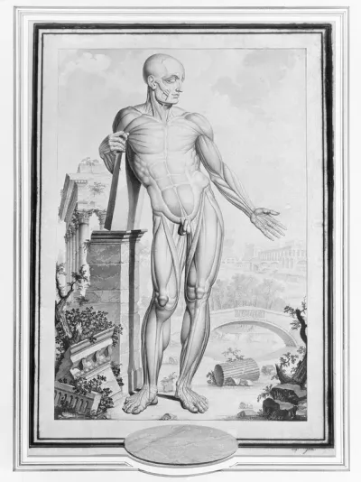 An anatomical figure (écorché) in a classical landscape