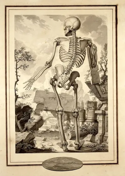 An anatomical figure (skeleton) in a classical landscape