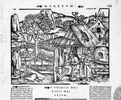 An apothecary grinding a mixture with his pestle and mortar, amidst a working town