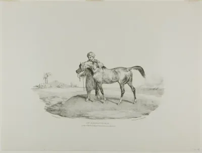 An Arabian Horse, plate 8 from Various Subjects Drawn from Life and on Stone (The English Suite)