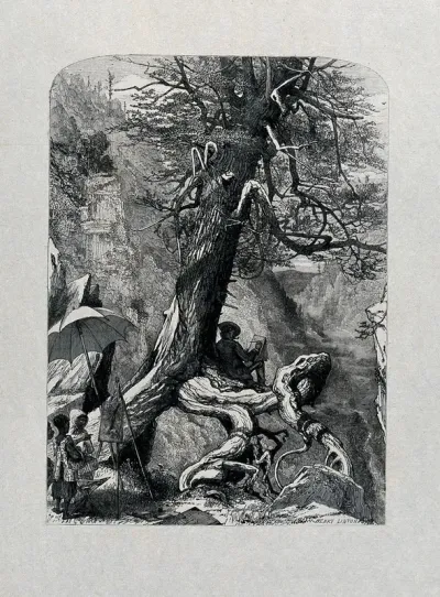 An artist seated at the base of a tree sketching a valley between mountains