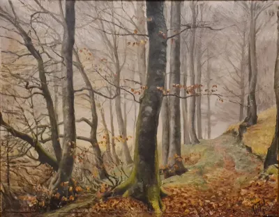 An autumn day in Stampeskoven.
