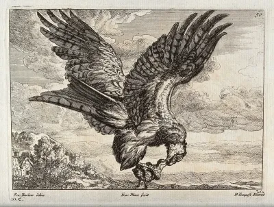 An eagle carrying off an owlet