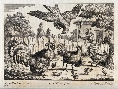 An eagle swooping for some chicks and being attacked by a cockerel and a farmer waving a broom