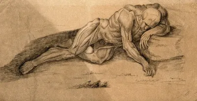 An écorché lying on the ground