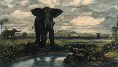 An elephant and a leopard confront each other on opposite sides of a stream in an Indian desert