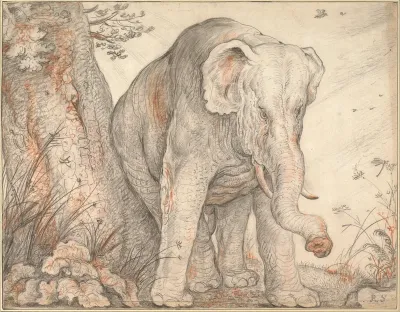 An Elephant Rubbing Itself against a Tree