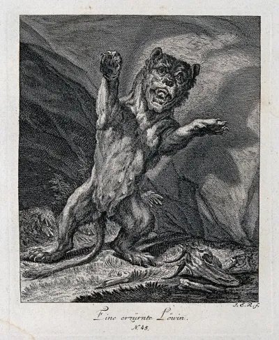 An enraged lioness rearing and roaring outside a cave