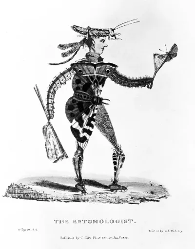 An entomologist at work; represented by a composite man made up of insects