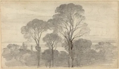 An Evening Landscape with Tall Trees