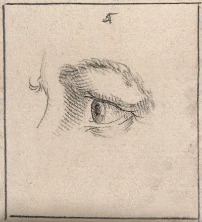 An eye; according to Lavater, belonging to a promising young man