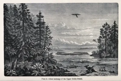 An ideal landscape of the upper oolitic period with reptiles and birds