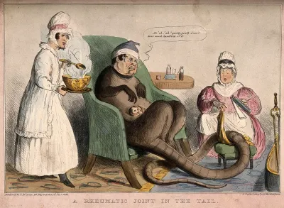 An ill marsupial creature with a human head and long tail is seated in a chair being treated by two nurses; representing Daniel O'Connell's role in the County Carlow election of 1835