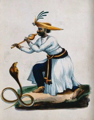An Indian snake charmer