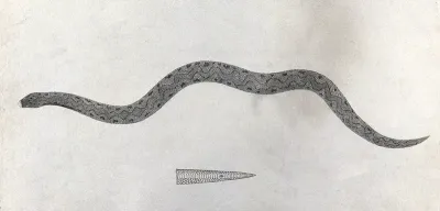 An Indian snake of the Boa genus: Padain Cootoo